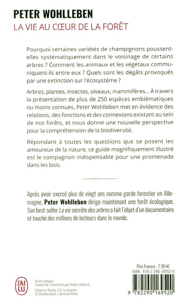 La vie au coeur de la foret