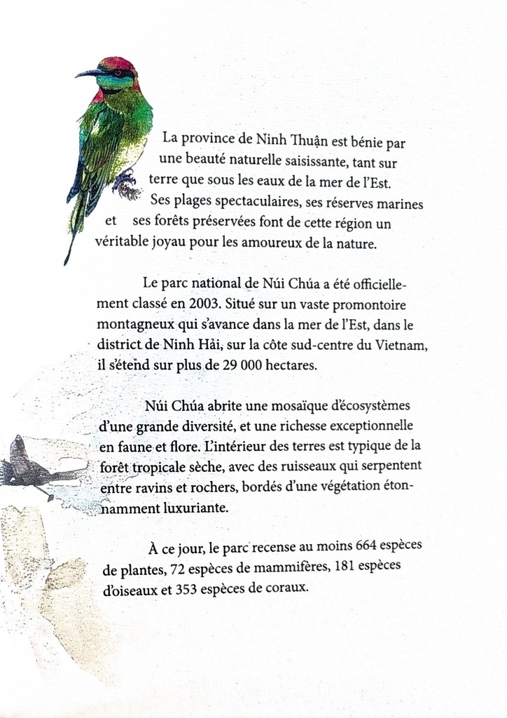 Nui Chua