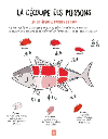 La cuisine japonaise illustree