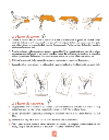 La cuisine japonaise illustree