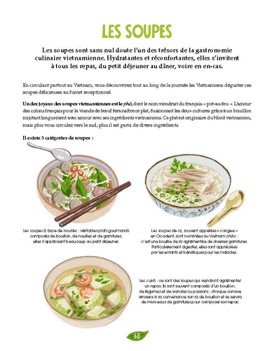 La cuisine vietnamienne illustree