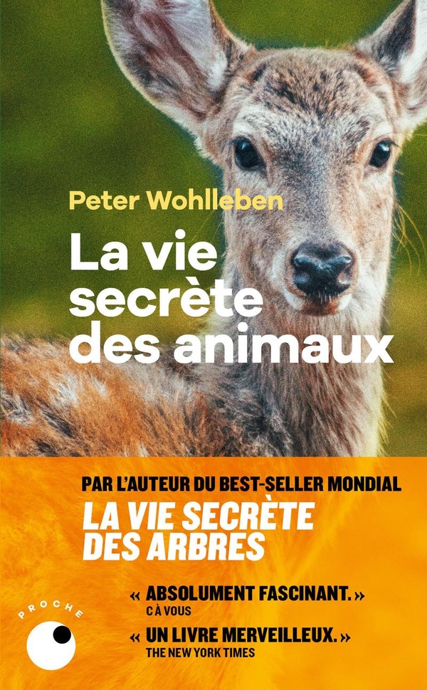 La vie secrete des animaux