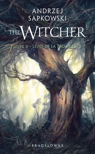 The Witcher, T2 : L'Epee de la providence