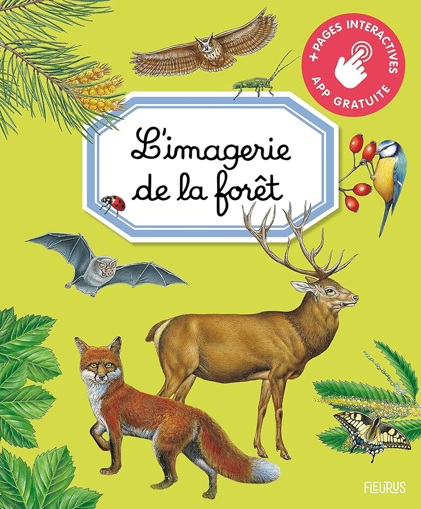 L'imagerie de la foret