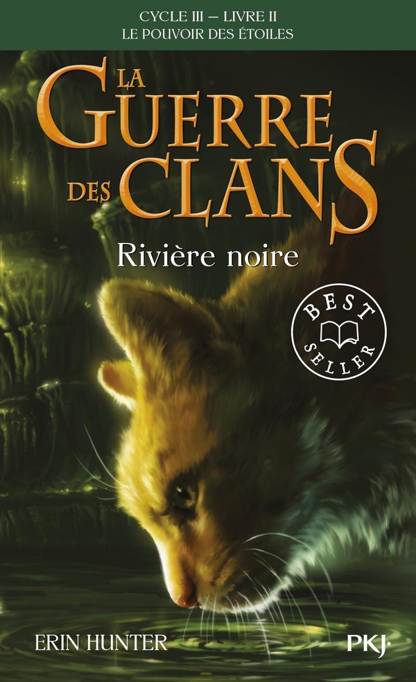La guerre des clans : le pouvoir des etoiles, T2 :