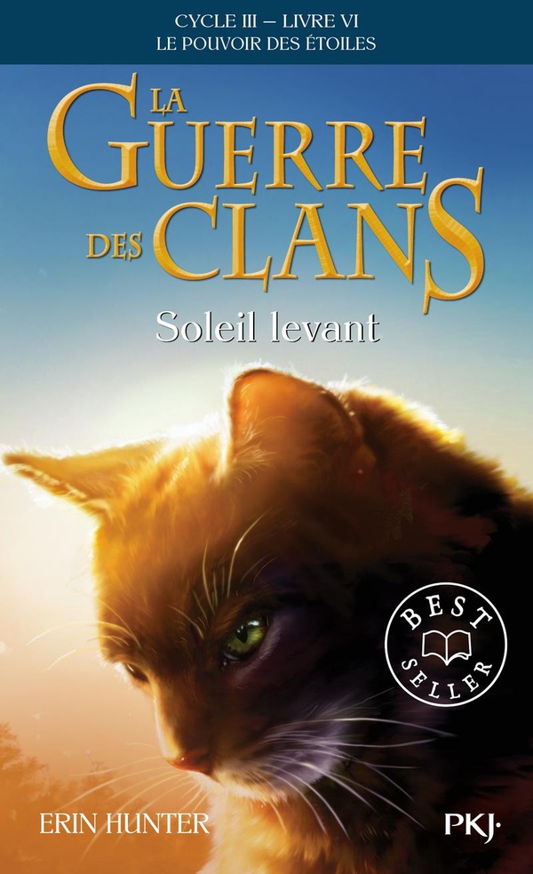 La guerre des clans : le pouvoir des etoiles, T6 :