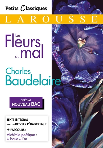 Les fleurs du mal