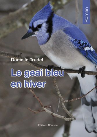 Le geai bleu en hiver