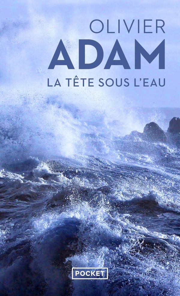 La Tete sous l'eau