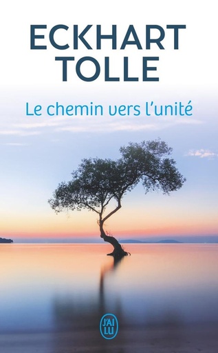 [9782290373880] Le chemin vers l'unite