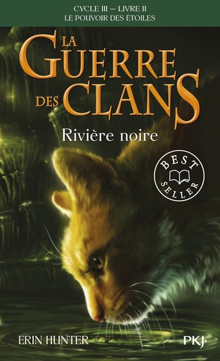 [9782266282635] La guerre des clans : le pouvoir des etoiles, T2 :